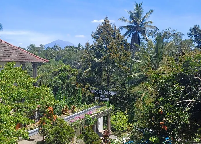 Puri Saron Madangan - Gianyar Hotel Payangan